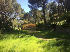 La casita del Río Guadiato